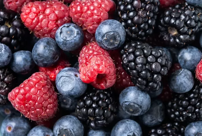 Consumo de berries cresce no Brasil e estudos associam frutas à saúde do coração, cérebro e controle da glicemia