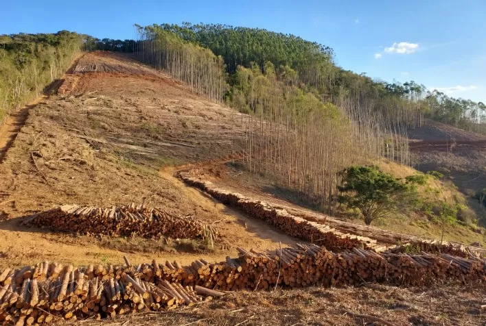Colheita florestal em terrenos inclinados exige novas soluções técnicas e mais segurança operacional