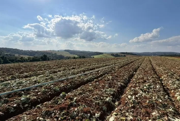 Crédito emergencial do Governo de SP libera R$ 5 milhões para produtores afetados por chuvas em Ibiúna e Piedade