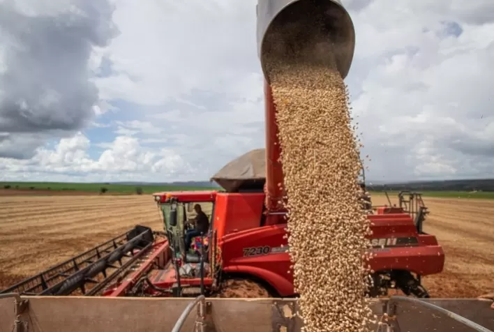 Produção de feijão no Paraná é revisada para baixo e acende alerta para oferta em 2026