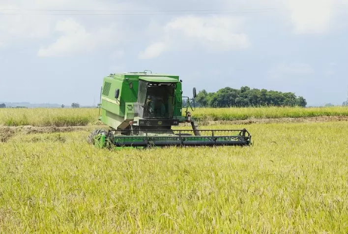 Crise no Estreito de Ormuz encarece insumos e ameaça produção de arroz em Santa Catarina