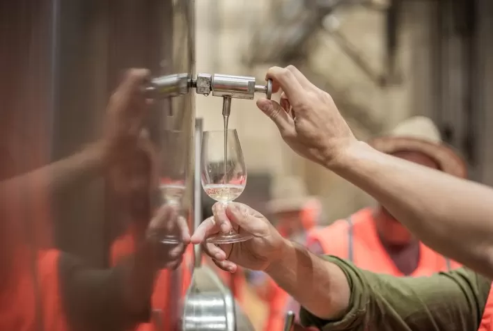 Chandon reabre tour exclusivo na vinícola e amplia experiências de enoturismo no Brasil