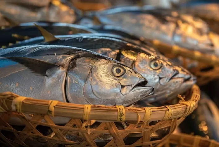 Dia Mundial do Atum destaca benefícios do pescado para a saúde cardiovascular e reforça consumo consciente