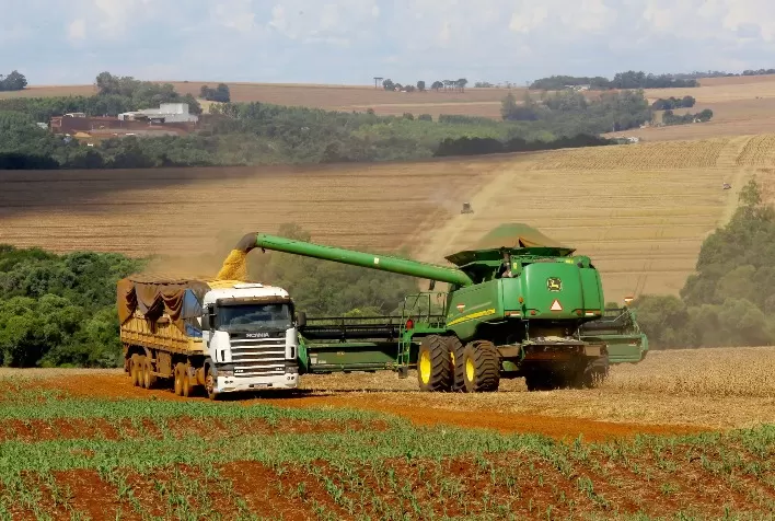 Soja e milho devem somar 39,1 milhões de toneladas no Paraná e reforçam liderança do agro estadual