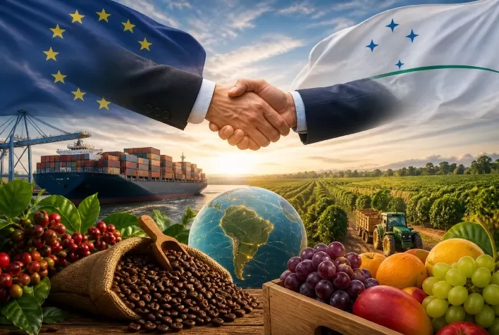 Acordo Mercosul-UE entra em vigor e abre mercado para agro brasileiro, com desafios distintos para café e frutas