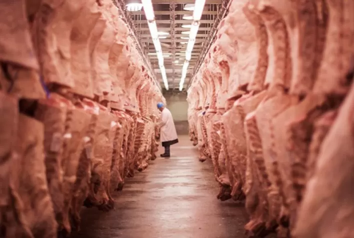 Exportações de carne bovina do Brasil podem cair até 10% em 2026 com restrições da China, alerta Abiec