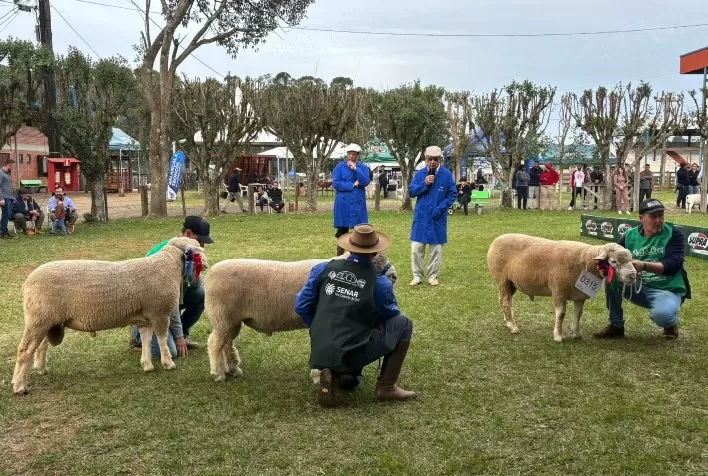 Fenovinos 2026 terá julgamentos, leilões e programação jovem em Esteio (RS) durante a Fenasul Expoleite