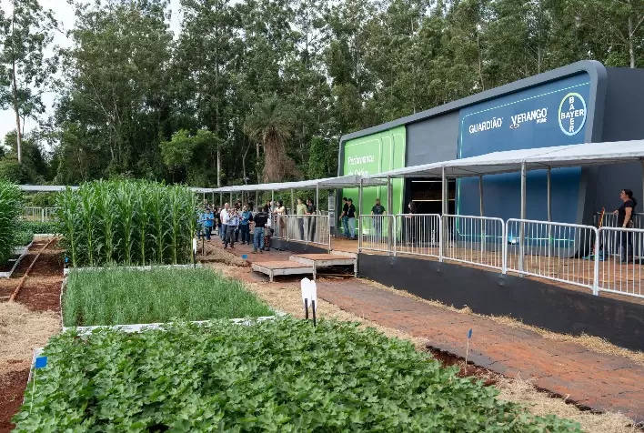 Bayer investe 10% do faturamento global em pesquisa e inovação para impulsionar produtividade no agronegócio