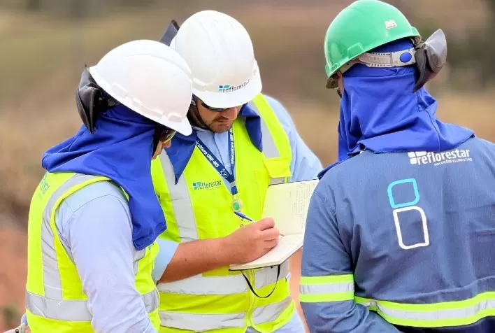 Reflorestar abre inscrições para programa de trainee e forma lideranças no setor florestal
