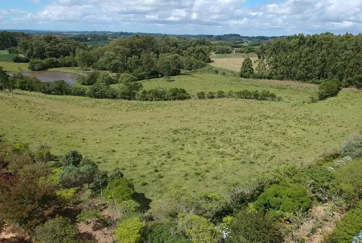 Índice de Sustentabilidade Auera impulsiona gestão rural e fortalece agricultura familiar no Sul do Brasil