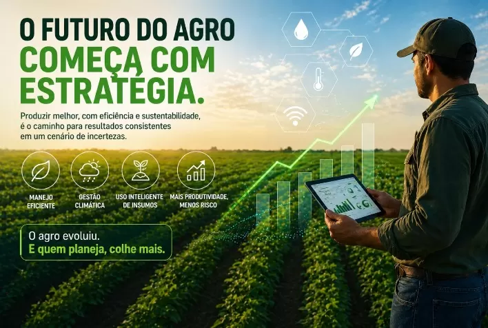 Safra de grãos avança no Brasil, mas queda de produtividade acende alerta no agronegócio