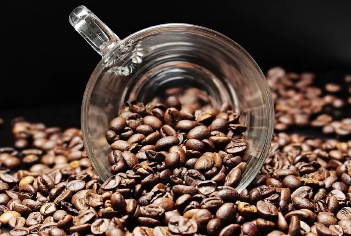 Café recua no Brasil com pressão externa, câmbio e avanço da safra; mercado segue volátil em meio à colheita 2026