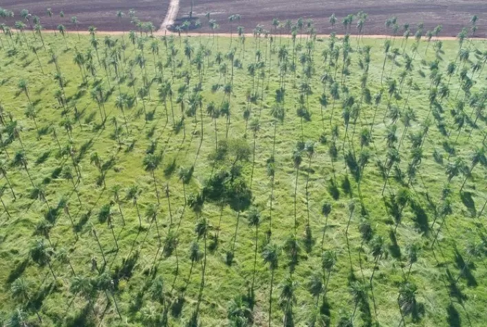 Regularização ambiental no campo vira oportunidade de renda para produtores rurais em São Paulo
