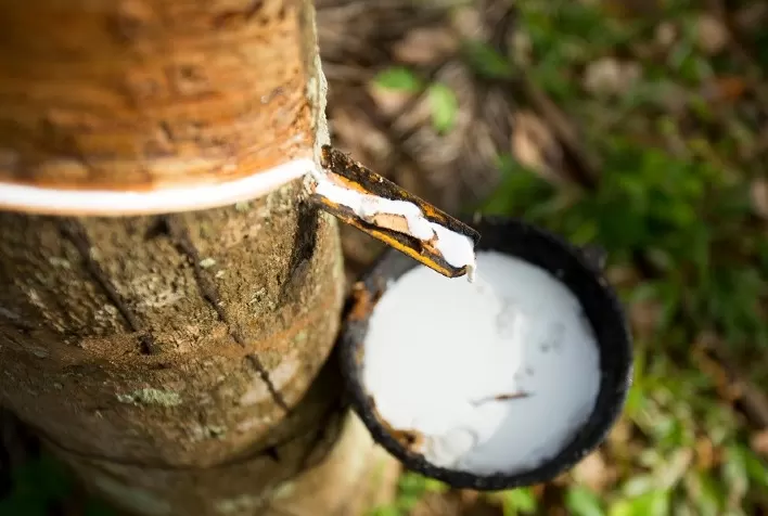 Borracha natural importada sobe em abril e custos logísticos seguem pressionando mercado