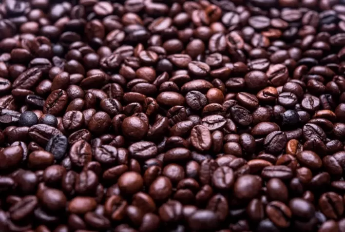 Café monitora risco de frio no Brasil e avanço da colheita enquanto mercado avalia safra recorde em 2026/27
