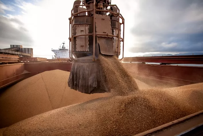 Exportações de soja do Brasil batem recorde em abril com forte demanda da China