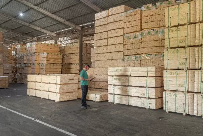 Exportações brasileiras de madeira crescem 34% em abril e setor reage após meses de retração