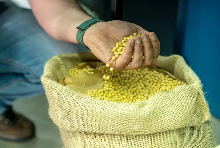Bayer amplia lucro operacional no 1º trimestre com avanço da soja e força da divisão agrícola