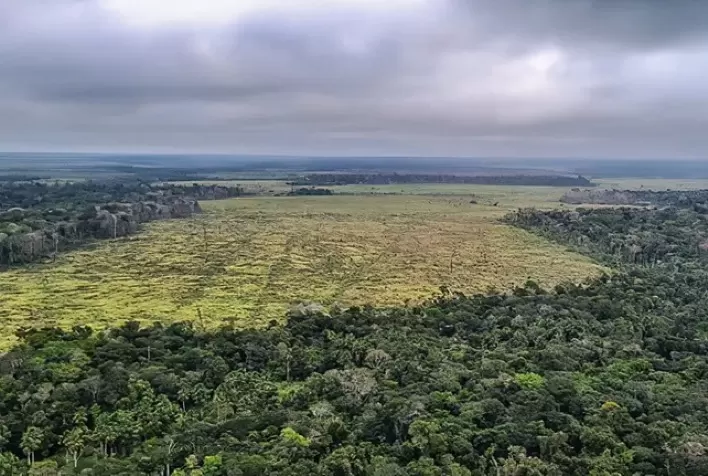 TRF1 mantém multa de R$ 4,5 milhões por desmatamento ilegal na Amazônia em área da Raposa Serra do Sol