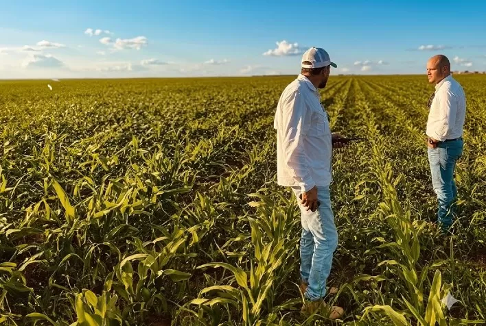 Agricultura regenerativa avança no Mato Grosso com expansão do Programa Revitalis e foco em crédito de carbono
