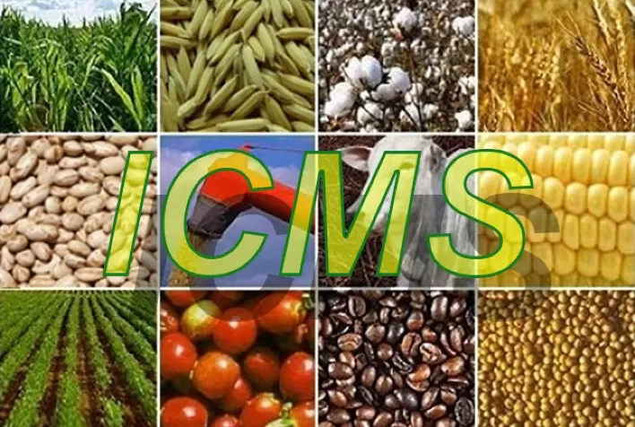 Crédito de ICMS no agronegócio pode reforçar caixa do produtor sem ampliar endividamento