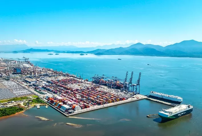 Exportação de madeira cresce 4% via TCP e consolida Paranaguá como corredor estratégico do agronegócio