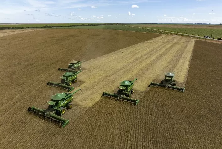 SLC Agrícola bate recorde de produtividade da soja na safra 2025/26 e amplia área cultivada no Brasil