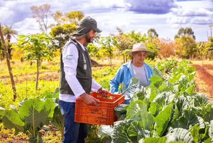 Faesp cobra ampliação das compras da agricultura familiar e propõe mudanças em programas públicos