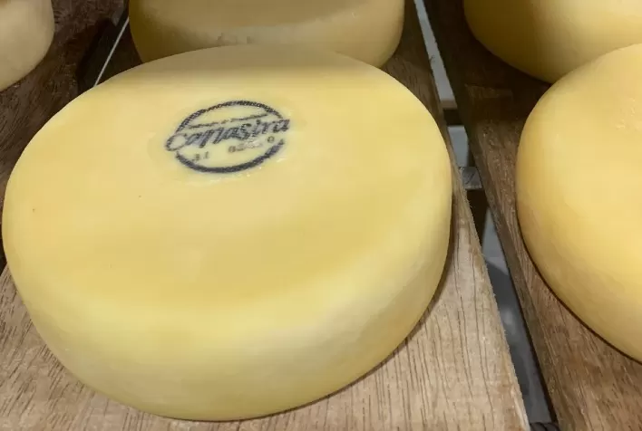 ExpoQueijo Brasil 2026 reúne centenas de produtores e reforça expansão internacional do maior concurso de queijos das Américas