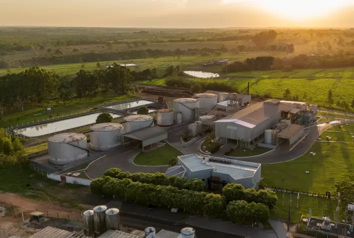 Be8 amplia uso de gordura animal no biodiesel e acelera estratégia de exportação e descarbonização