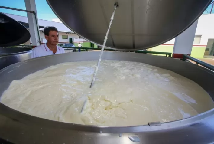 Compras públicas da agricultura familiar em SP superam R$ 128 milhões e impulsionam renda no campo