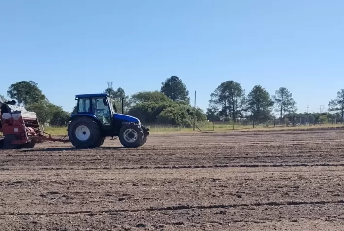 Abertura da Colheita do Arroz 2027: áreas experimentais no RS entram em fase de preparo com forrageiras de inverno