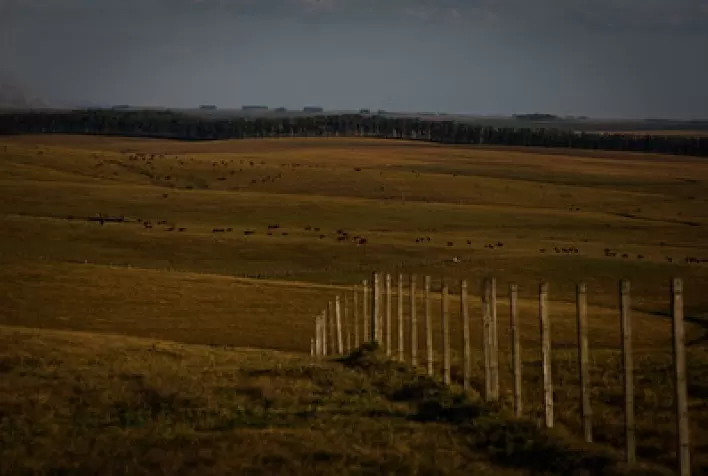 Inadimplência no agronegócio cresce e pressiona avanço de projeto para renegociação de dívidas rurais