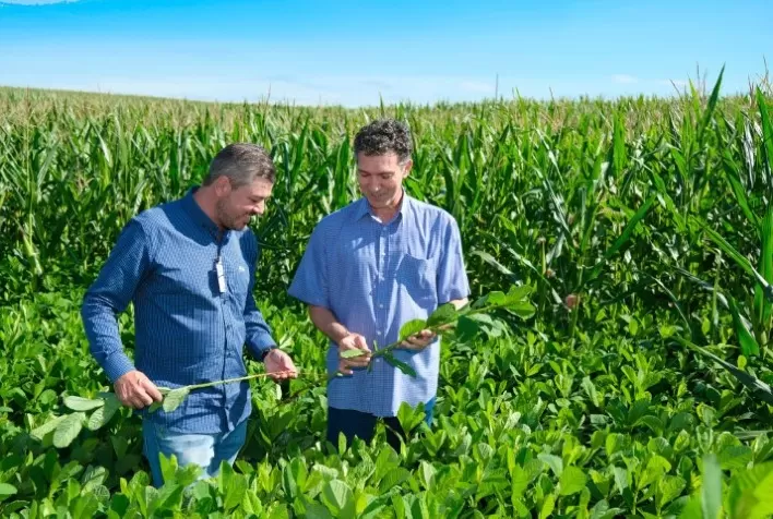 Agricultura de precisão e manejo de solo ajudam produtores a reduzir perdas climáticas e aumentar estabilidade da soja e do milho