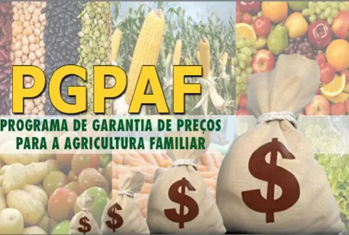 PGPAF: Conab divulga novos descontos para agricultores familiares em junho; abatimentos superam 57%