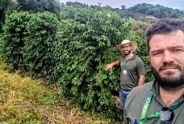 Produção de café cresce 114% em Minas Gerais com apoio da ATeG e supera média nacional
