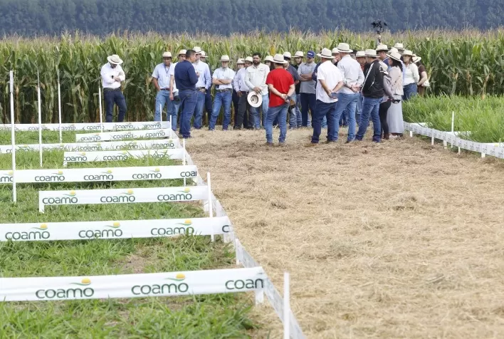 Coamo reúne mil produtores em Dourados e reforça difusão de tecnologia para culturas de inverno