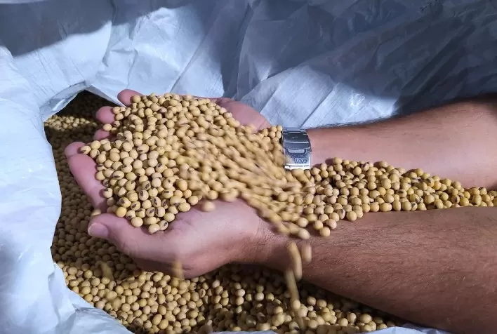 Comercialização de sementes ganha protagonismo em debate sobre o futuro do agro na Febrasem 2026