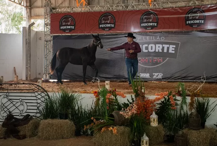 Feicorte 2026 terá grandes leilões de genética bovina, equina e ovina e ação solidária no agronegócio