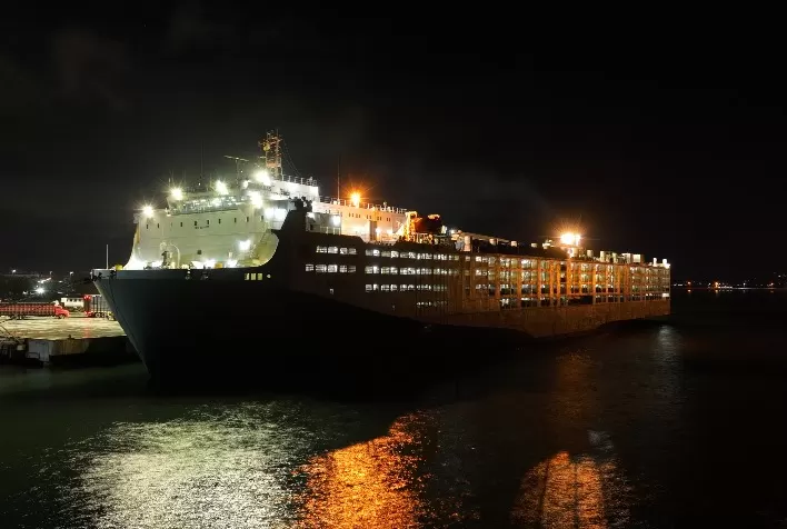 Exportação de bovinos vivos ultrapassa 1 milhão de cabeças e avança com padronização sanitária no Brasil