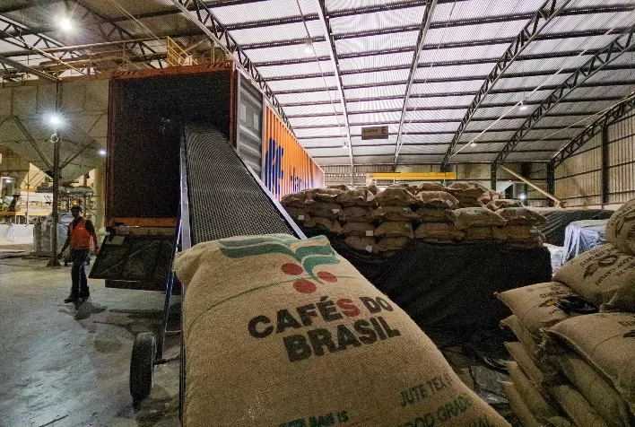 Exportações de café do Brasil crescem em maio e nova safra deve impulsionar embarques no segundo semestre