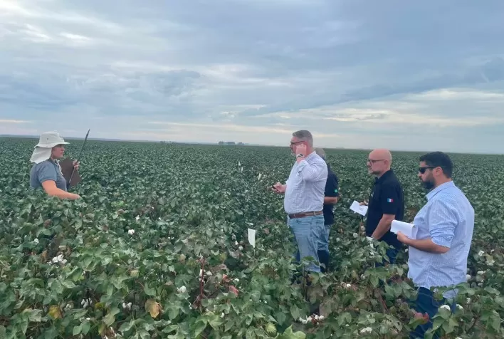 Elicit Plant realiza tour técnico em Mato Grosso e avalia desempenho de soluções no algodão em condições de campo