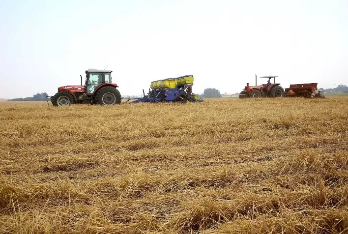 Paraná impulsiona crescimento da safra brasileira e amplia participação na produção nacional de grãos