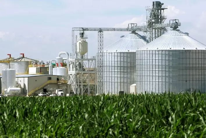 Mato Grosso adia para 2035 o fim do uso de biomassa nativa e amplia metas de reflorestamento