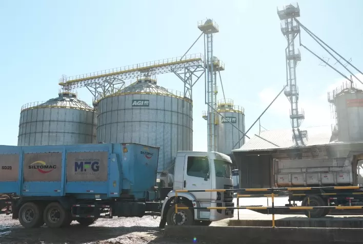 Confinamento de bovinos deve ter oferta favorável de insumos no 2º semestre de 2026, impulsionado por safra recorde de grãos