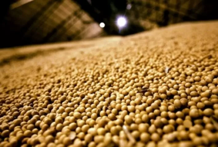 Futuro do agro depende das pessoas e da qualificação profissional, destaca análise do Grupo J2M
