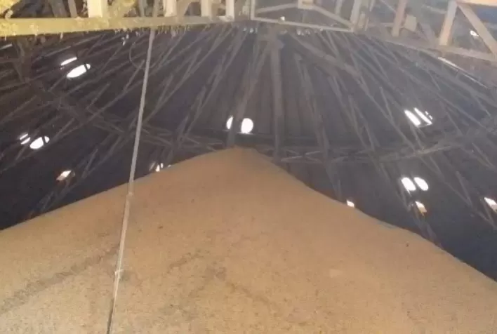 Proteína da soja ganha valor no mercado e reforça importância da qualidade na armazenagem de grãos no Brasil