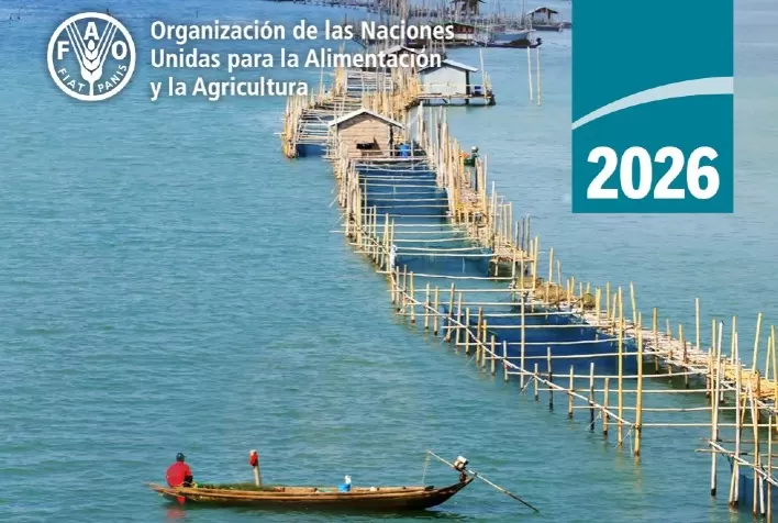 América Latina e Caribe registram superávit de US$ 21 bilhões no comércio de produtos aquícolas em 2024, aponta FAO