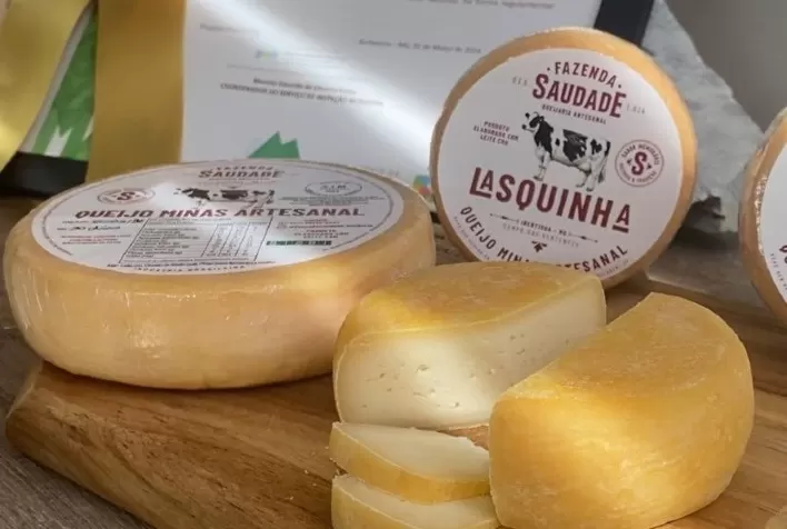 Casal deixa Brasília e retoma produção de Queijo Minas Artesanal em fazenda histórica de Minas Gerais