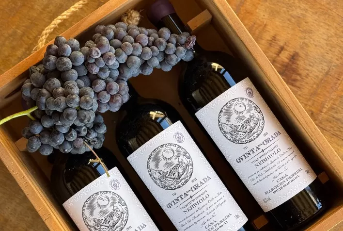 Uva Nebbiolo ganha espaço no terroir brasileiro e reforça vinhos de alta qualidade na Serra Gaúcha